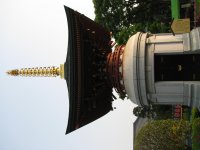 IMG_0822.JPG